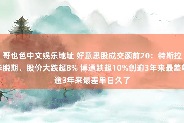 哥也色中文娱乐地址 好意思股成交额前20：特斯拉FSD在华脱期、股价大跌超8% 博通跌超10%创逾3年来最差单日久了