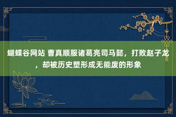 蝴蝶谷网站 曹真顺服诸葛亮司马懿，打败赵子龙，却被历史塑形成无能废的形象