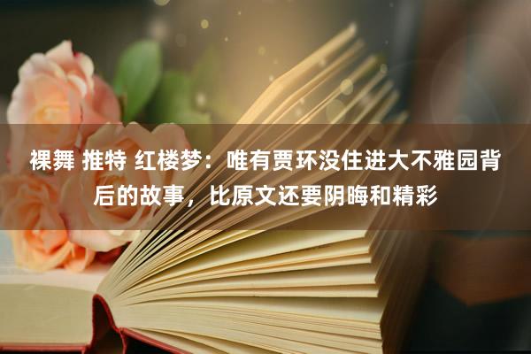 裸舞 推特 红楼梦：唯有贾环没住进大不雅园背后的故事，比原文还要阴晦和精彩