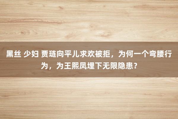 黑丝 少妇 贾琏向平儿求欢被拒，为何一个弯腰行为，为王熙凤埋下无限隐患？