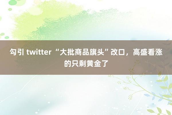 勾引 twitter “大批商品旗头”改口，高盛看涨的只剩黄金了