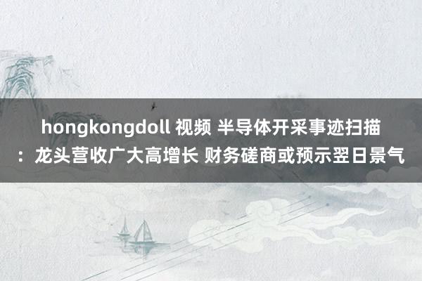 hongkongdoll 视频 半导体开采事迹扫描：龙头营收广大高增长 财务磋商或预示翌日景气