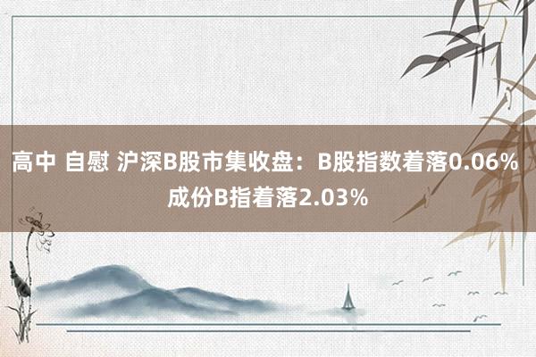 高中 自慰 沪深B股市集收盘：B股指数着落0.06% 成份B指着落2.03%