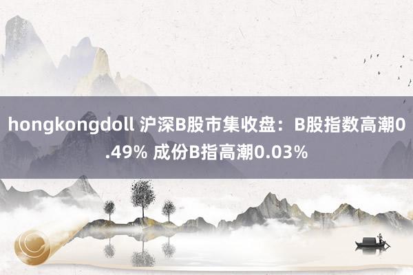 hongkongdoll 沪深B股市集收盘：B股指数高潮0.49% 成份B指高潮0.03%