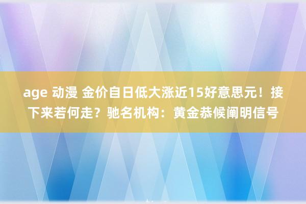 age 动漫 金价自日低大涨近15好意思元！接下来若何走？驰名机构：黄金恭候阐明信号