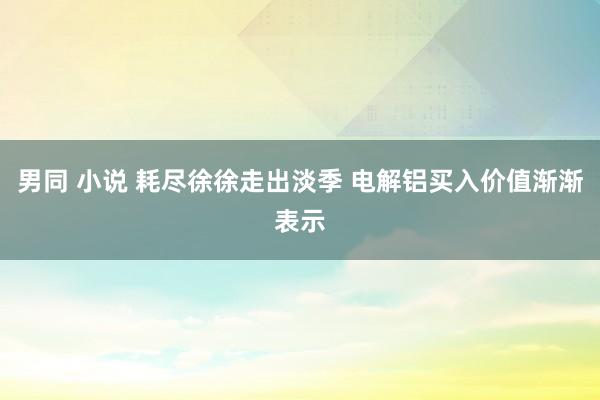 男同 小说 耗尽徐徐走出淡季 电解铝买入价值渐渐表示