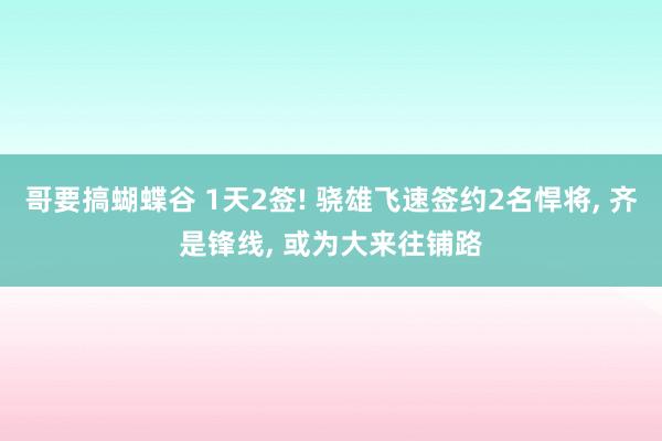 哥要搞蝴蝶谷 1天2签! 骁雄飞速签约2名悍将， 齐是锋线， 或为大来往铺路