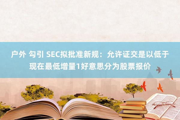 户外 勾引 SEC拟批准新规：允许证交是以低于现在最低增量1好意思分为股票报价