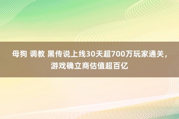 母狗 调教 黑传说上线30天超700万玩家通关，游戏确立商估值超百亿