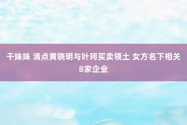 干妹妹 清点黄晓明与叶珂买卖领土 女方名下相关8家企业