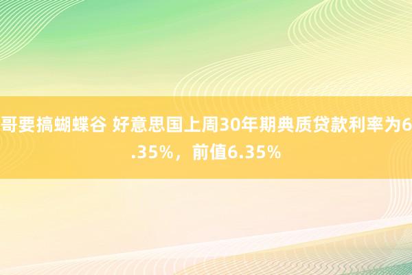 哥要搞蝴蝶谷 好意思国上周30年期典质贷款利率为6.35%，前值6.35%