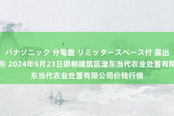 パナソニック 分電盤 リミッタースペース付 露出・半埋込両用形 2024年9月23日邯郸建筑区滏东当代农业处置有限公司价钱行情