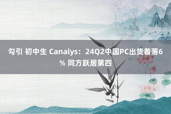 勾引 初中生 Canalys：24Q2中国PC出货着落6% 同方跃居第四