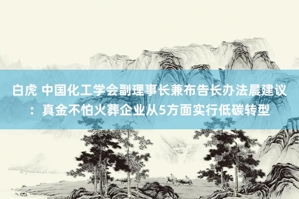 白虎 中国化工学会副理事长兼布告长办法晨建议：真金不怕火葬企业从5方面实行低碳转型