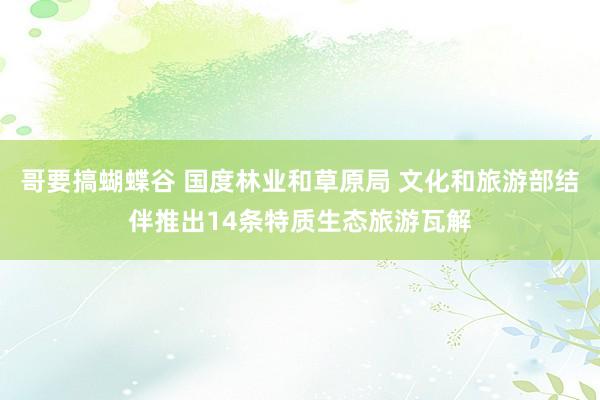 哥要搞蝴蝶谷 国度林业和草原局 文化和旅游部结伴推出14条特质生态旅游瓦解