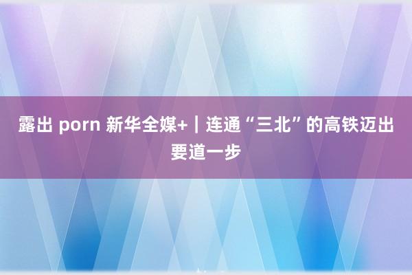 露出 porn 新华全媒+｜连通“三北”的高铁迈出要道一步