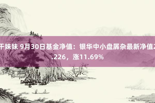 干妹妹 9月30日基金净值：银华中小盘羼杂最新净值2.226，涨11.69%