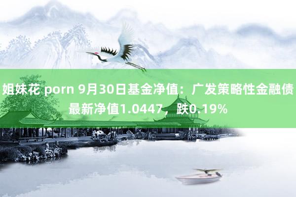 姐妹花 porn 9月30日基金净值：广发策略性金融债最新净值1.0447，跌0.19%