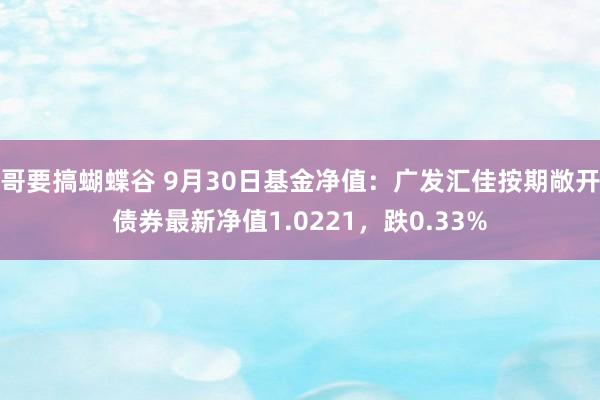 哥要搞蝴蝶谷 9月30日基金净值：广发汇佳按期敞开债券最新净值1.0221，跌0.33%