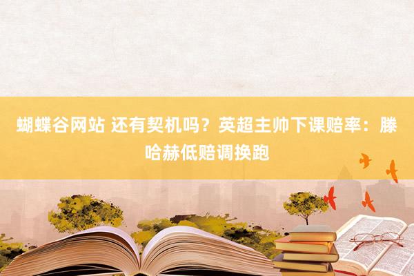 蝴蝶谷网站 还有契机吗？英超主帅下课赔率：滕哈赫低赔调换跑