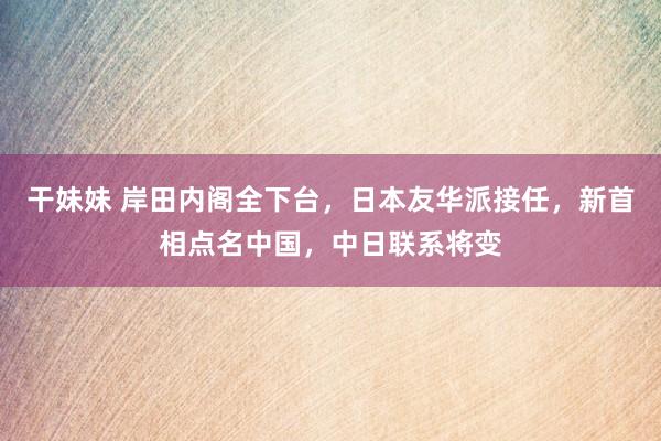 干妹妹 岸田内阁全下台，日本友华派接任，新首相点名中国，中日联系将变