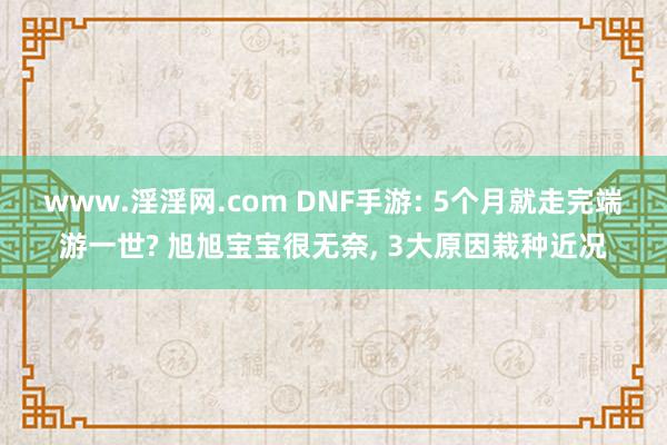 www.淫淫网.com DNF手游: 5个月就走完端游一世? 旭旭宝宝很无奈， 3大原因栽种近况