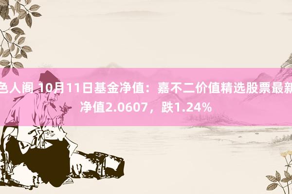 色人阁 10月11日基金净值：嘉不二价值精选股票最新净值2.0607，跌1.24%