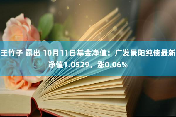 王竹子 露出 10月11日基金净值：广发景阳纯债最新净值1.0529，涨0.06%