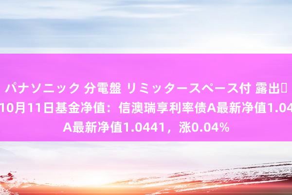 パナソニック 分電盤 リミッタースペース付 露出・半埋込両用形 10月11日基金净值：信澳瑞享利率债A最新净值1.0441，涨0.04%