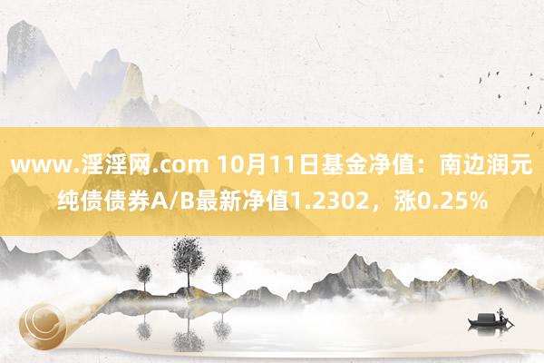 www.淫淫网.com 10月11日基金净值：南边润元纯债债券A/B最新净值1.2302，涨0.25%