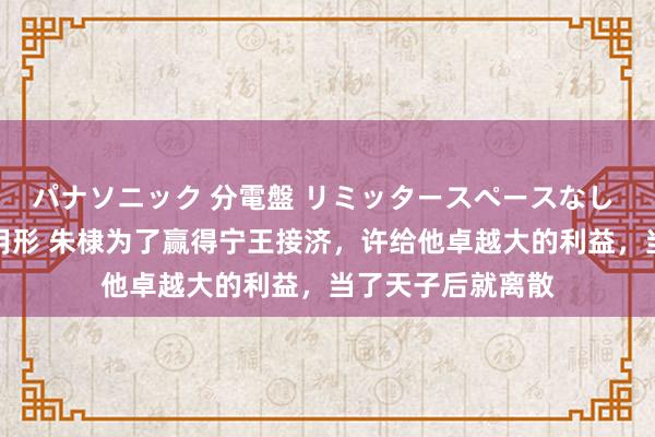 パナソニック 分電盤 リミッタースペースなし 露出・半埋込両用形 朱棣为了赢得宁王接济，许给他卓越大的利益，当了天子后就离散