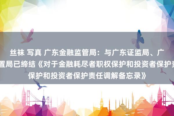 丝袜 写真 广东金融监管局：与广东证监局、广东省地点金融措置局已缔结《对于金融耗尽者职权保护和投资者保护责任调解备忘录》