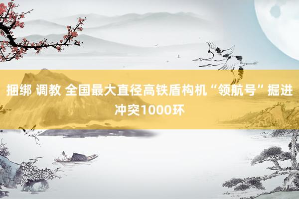 捆绑 调教 全国最大直径高铁盾构机“领航号”掘进冲突1000环