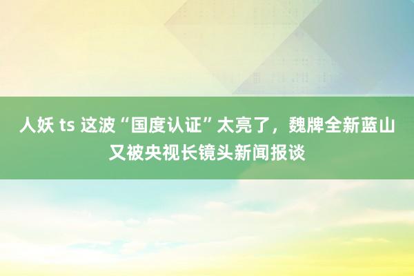 人妖 ts 这波“国度认证”太亮了，魏牌全新蓝山又被央视长镜头新闻报谈