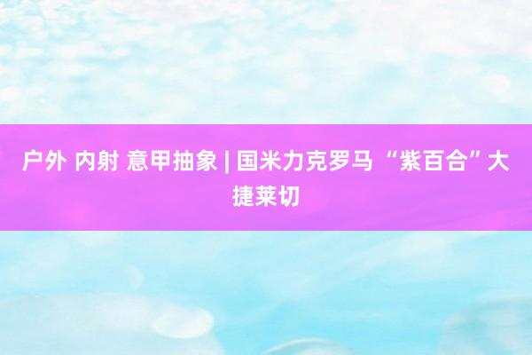 户外 内射 意甲抽象 | 国米力克罗马 “紫百合”大捷莱切