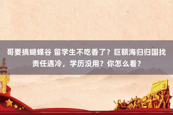 哥要搞蝴蝶谷 留学生不吃香了？巨额海归归国找责任遇冷，学历没用？你怎么看？