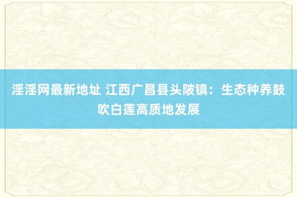 淫淫网最新地址 江西广昌县头陂镇：生态种养鼓吹白莲高质地发展