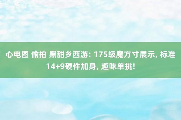 心电图 偷拍 黑甜乡西游: 175级魔方寸展示， 标准14+9硬件加身， 趣味单挑!