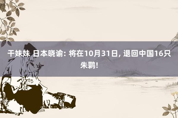 干妹妹 日本晓谕: 将在10月31日， 退回中国16只朱鹮!