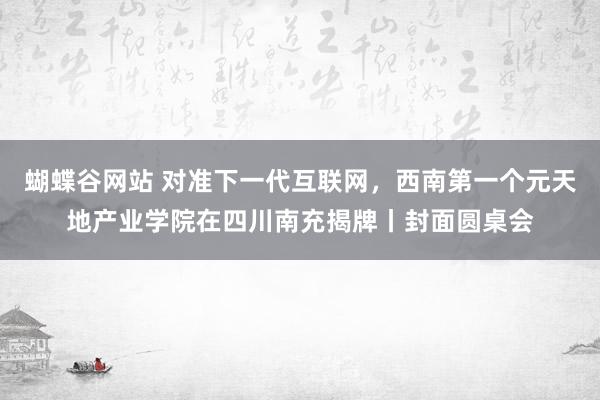 蝴蝶谷网站 对准下一代互联网，西南第一个元天地产业学院在四川南充揭牌丨封面圆桌会