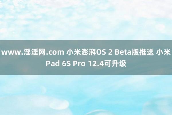 www.淫淫网.com 小米澎湃OS 2 Beta版推送 小米Pad 6S Pro 12.4可升级