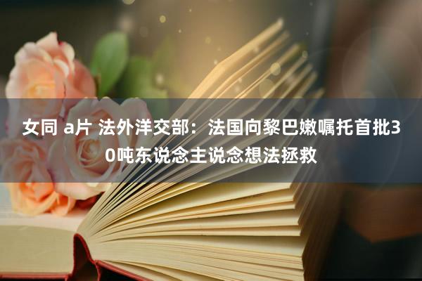 女同 a片 法外洋交部：法国向黎巴嫩嘱托首批30吨东说念主说念想法拯救