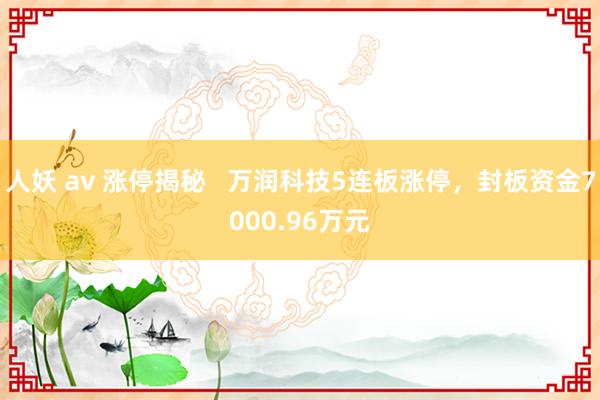 人妖 av 涨停揭秘   万润科技5连板涨停，封板资金7000.96万元