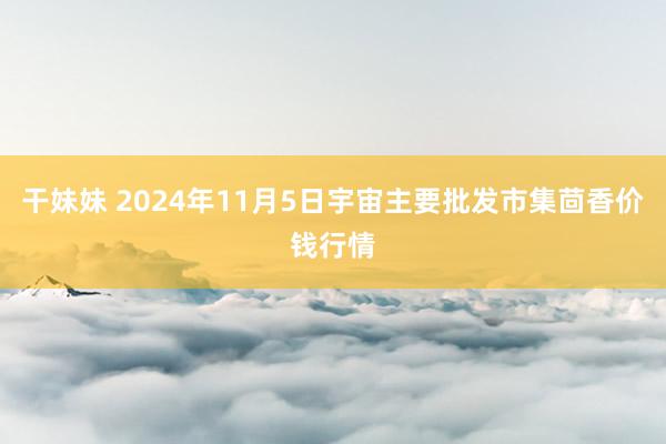 干妹妹 2024年11月5日宇宙主要批发市集茴香价钱行情