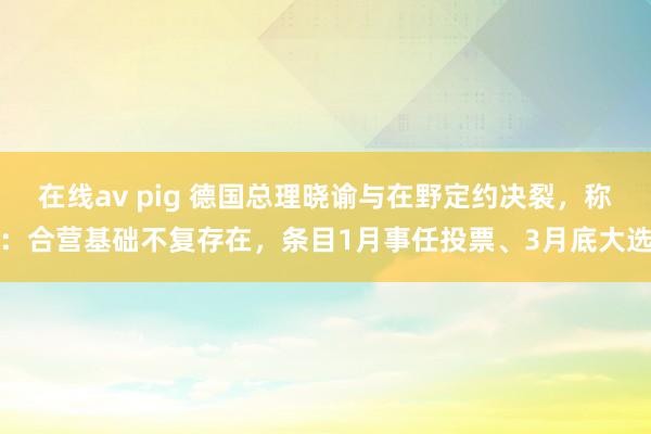 在线av pig 德国总理晓谕与在野定约决裂，称：合营基础不复存在，条目1月事任投票、3月底大选