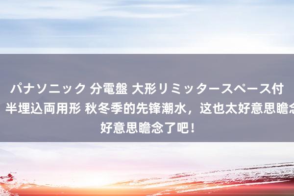 パナソニック 分電盤 大形リミッタースペース付 露出・半埋込両用形 秋冬季的先锋潮水，这也太好意思瞻念了吧！