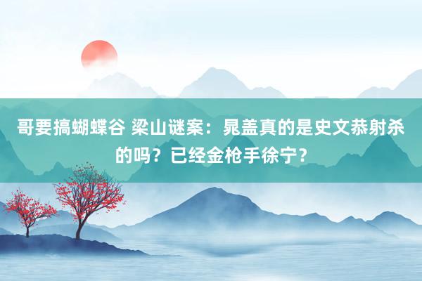 哥要搞蝴蝶谷 梁山谜案：晁盖真的是史文恭射杀的吗？已经金枪手徐宁？