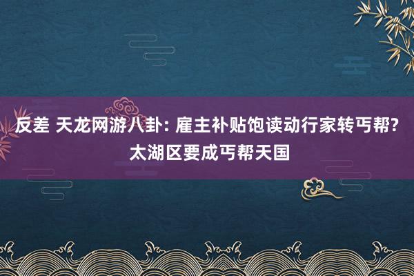 反差 天龙网游八卦: 雇主补贴饱读动行家转丐帮? 太湖区要成丐帮天国