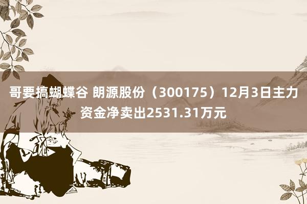 哥要搞蝴蝶谷 朗源股份（300175）12月3日主力资金净卖出2531.31万元