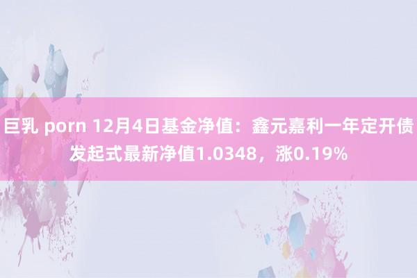 巨乳 porn 12月4日基金净值：鑫元嘉利一年定开债发起式最新净值1.0348，涨0.19%